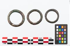 Foto von Bronzering (NHMW-PRAE-025421)
